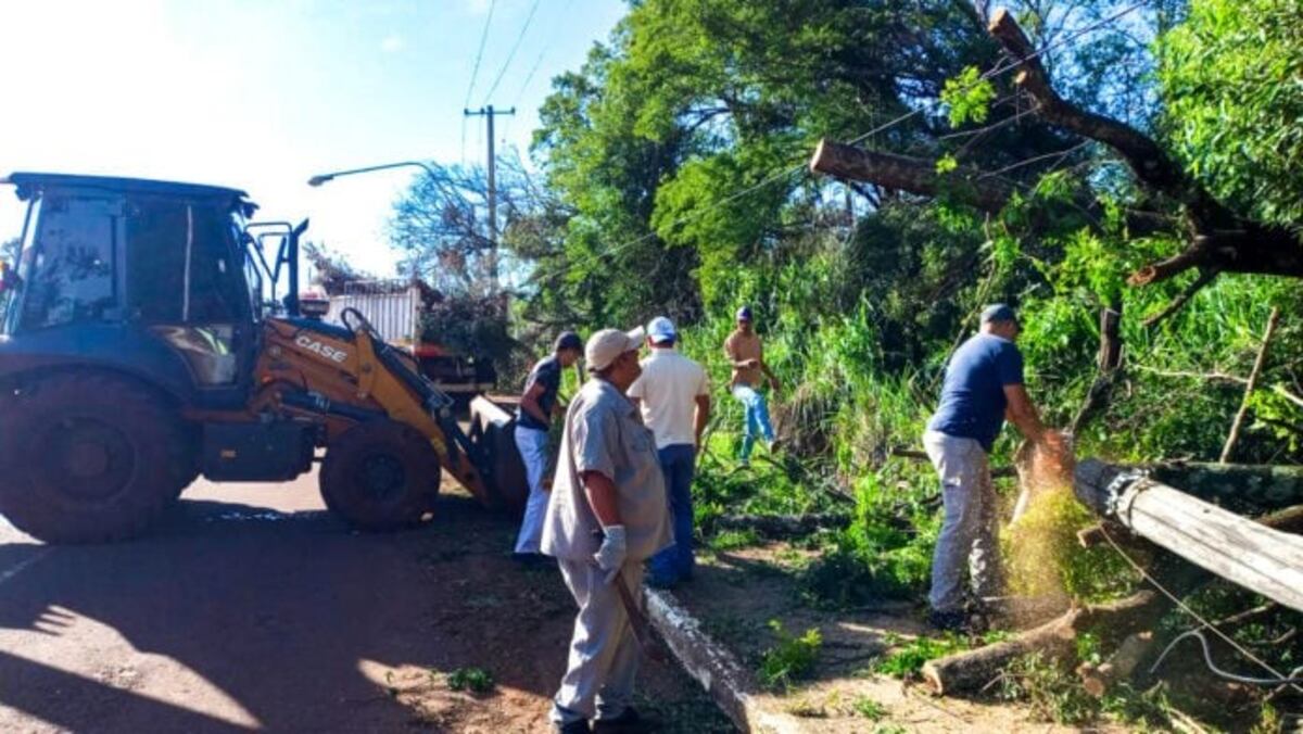 Leandro N. Alem se recupera tras el temporal: autoridades destacan la colaboración ciudadana
