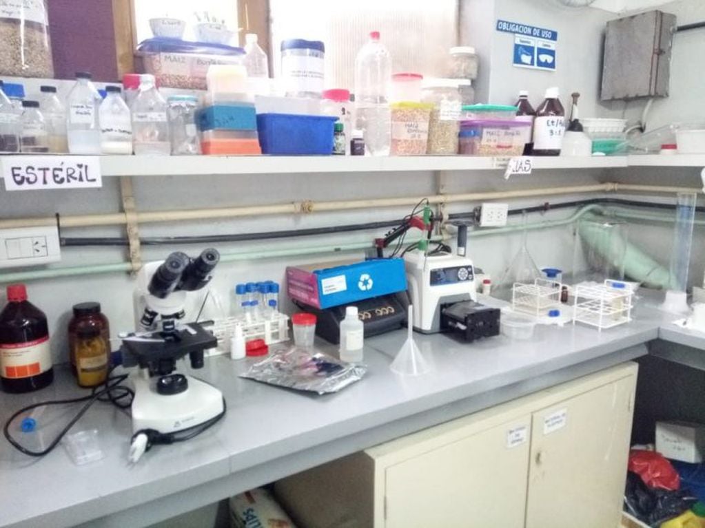 El equipo de investigadores del Instituto de Procesos Biotecnológicos y Químicos del Conicet trabajó a pleno para lograr pasta celulosa de las cascarillas de la soja. (IPROBYQ)