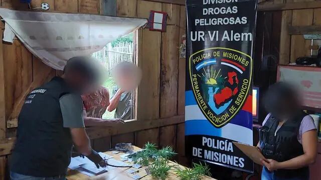 En un procedimiento por robo en San Javier, terminaron secuestrando plantines de marihuana