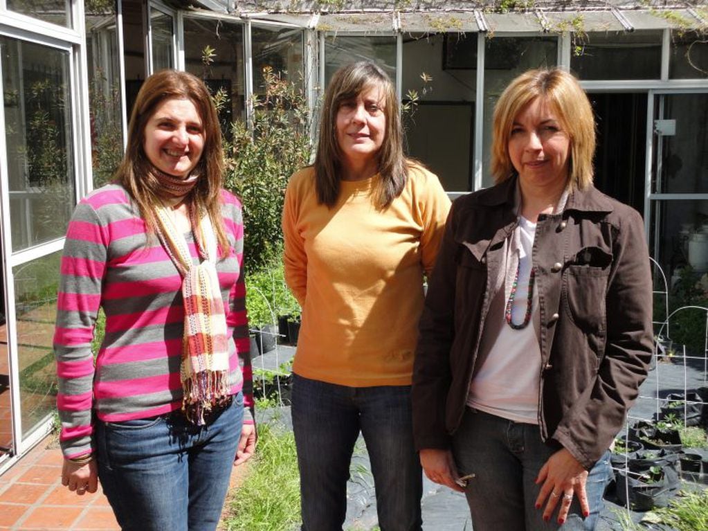 Un grupo de científicas del CONICET dieron consejos para combatir las cucarachas en La Plata