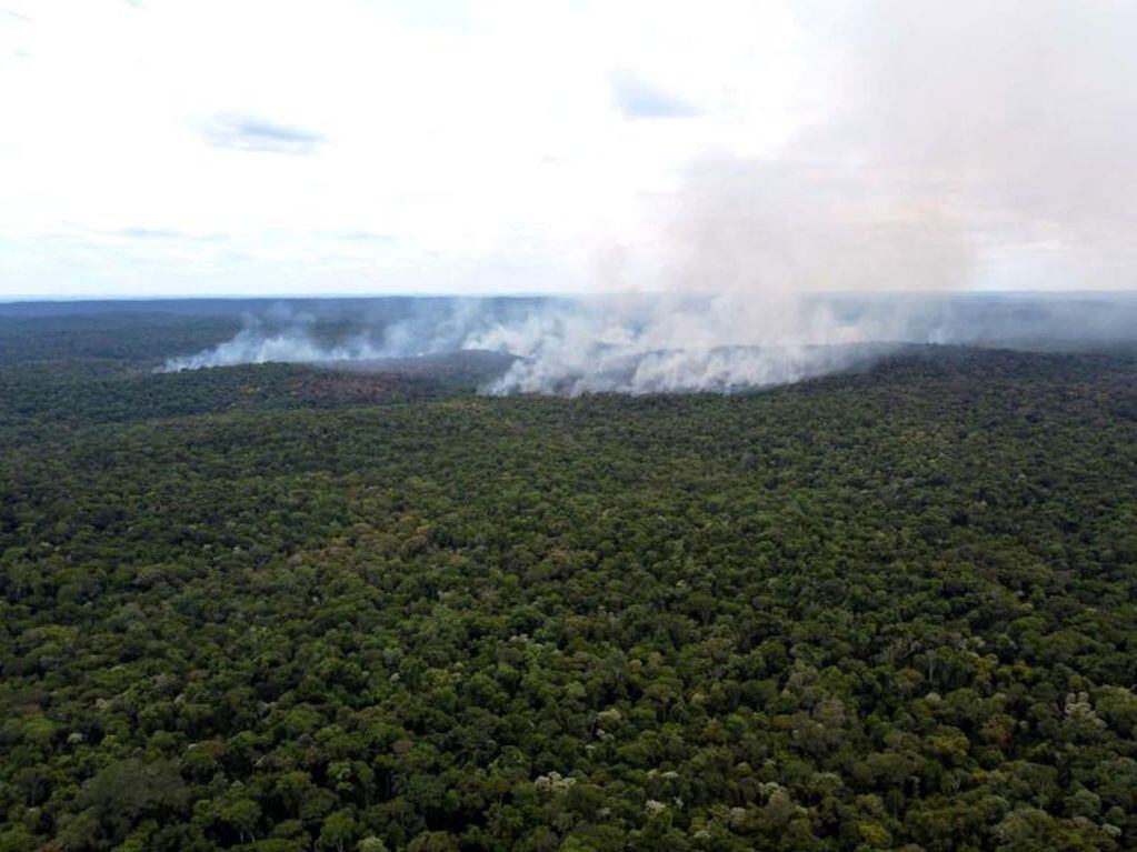 Incendios en Misiones: más de 250 hectáreas de la Reserva Natural Guaraní arrasadas por fuegos iniciados por cazadores furtivos.
