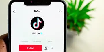 TikTok, la red social del momento que es furor y genera alarma