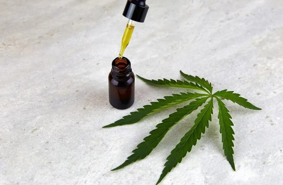 Crean registro municipal de cultivadores de cannabis medicinal