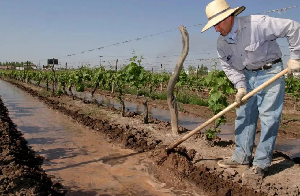 Se aprobaron iniciativas que benefician a los trabajadores de la viña.