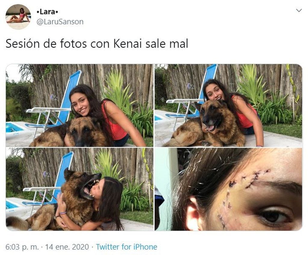 La tucumana mostró la sesión de foto con su perro 'Kenai' y su cara mordida (Foto: captura Twitter)