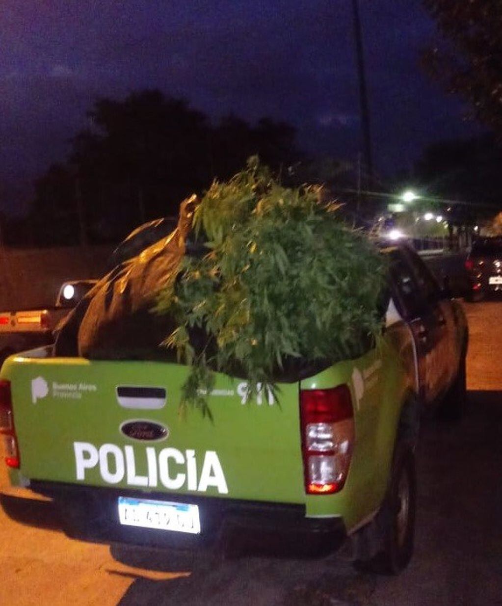 La Policía secuestró las plantas.