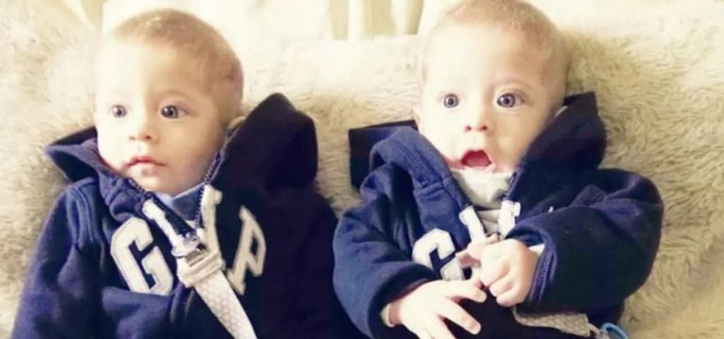 Milo y Jano, los gemelos de siete meses que necesitan un trasplante de médula ósea (Foto: Facebook)