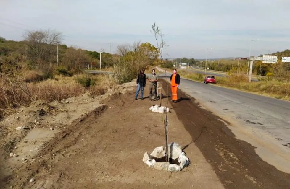 Plantaron otros 30 algarrobos y se incrementa la flora autóctona en Carlos Paz. (Foto: prensa municipal).