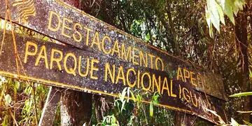 Reabrirán caminos de vigilancia del “Alto Iguazú” para combatir la caza furtiva