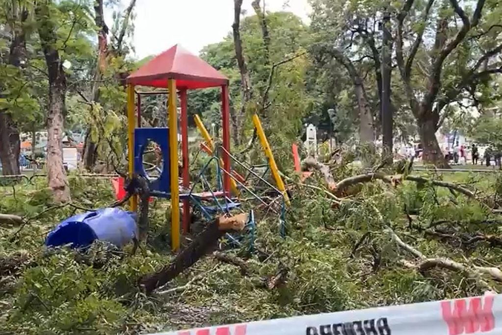 Tucumán. Se cayó un árbol sobre la zona de juegos infantiles en Parque Avellaneda. (Foto / La Gaceta)