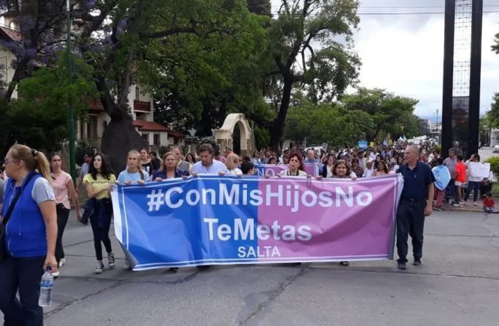 Marcha en contra a la ideología de género en Salta. (Web)