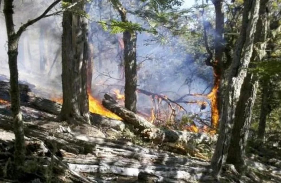 Incendio forestal Tierra del Fuego