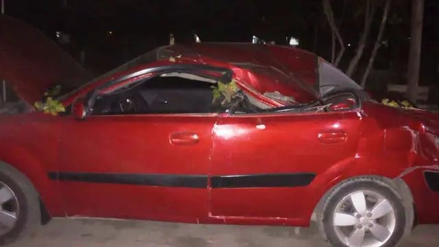 Auto aplastado por un árbol en San Rafael