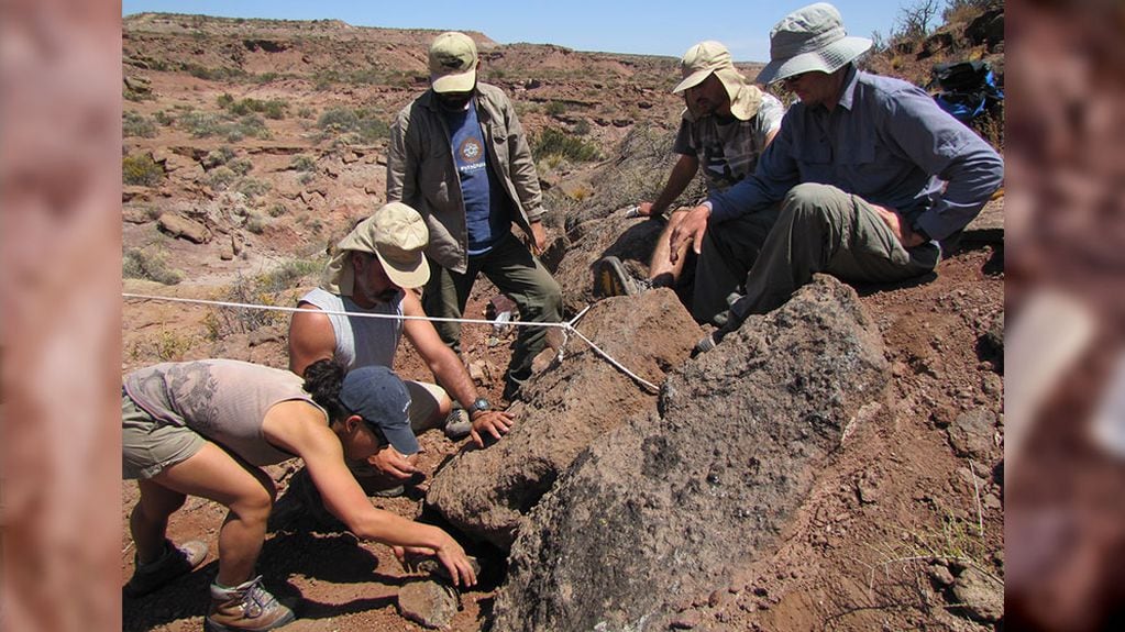 Paleontólogos del CONICET fueron quienes descubrieron el hallazgo.