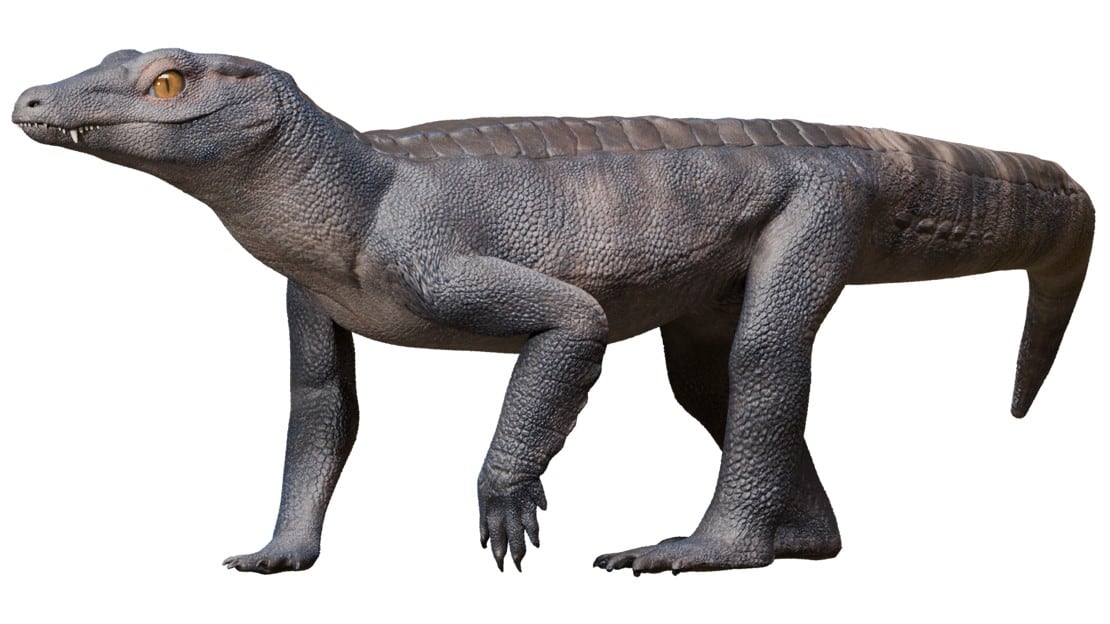 Nueva especie de cocodrilo prehistórico. Reconstrucción Gabriel Díaz Yantén