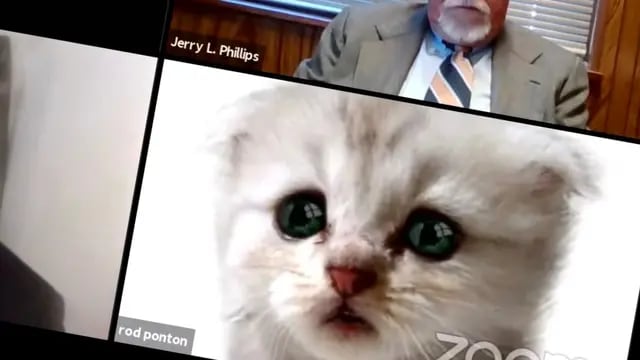 Un abogado participó de un juicio por Zoom con un filtro de gato
