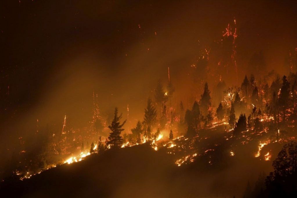 Los incendios forestales afectaron las provincias de Río Negro y Chubut.