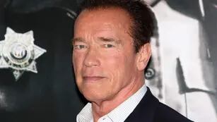 Tras una década sin protagonizar un filme, Arnold Schwarzenegger volvió a la pantalla grande.