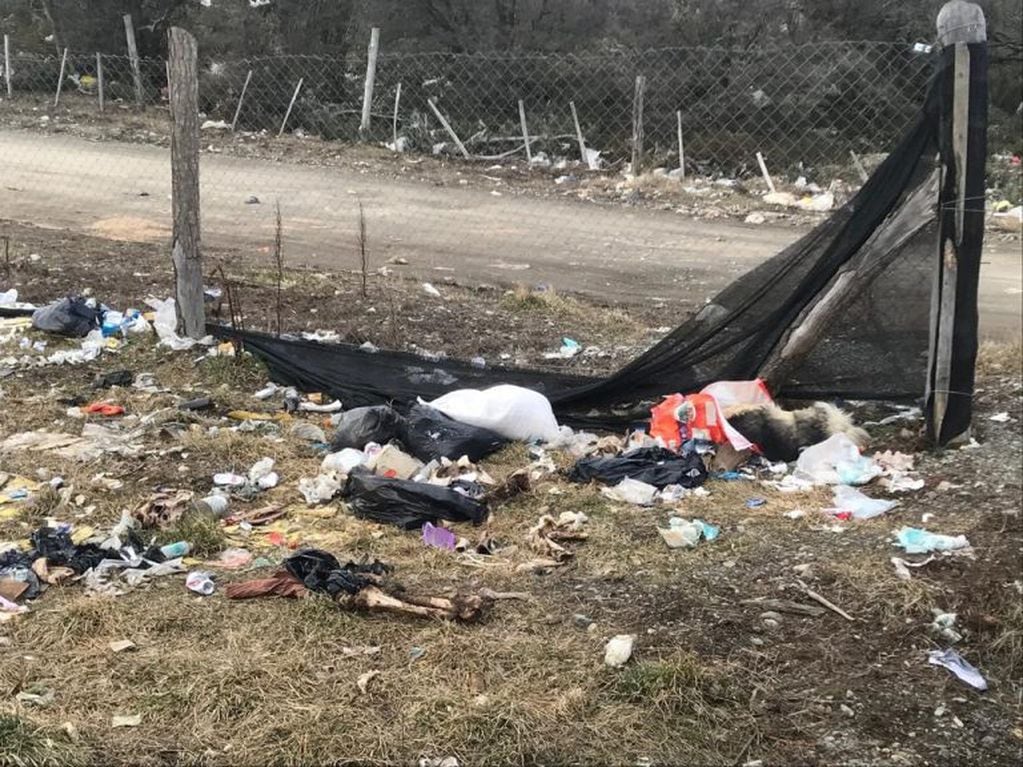 Hallazgo de animales muertos en un predio municipal de Tolhuin