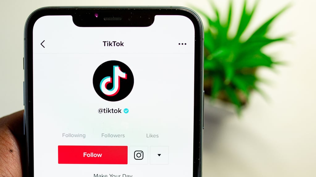 TikTok es una de las redes sociales favoritas.