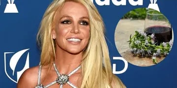 Britney Spears se declaró fan de un vino argentino: cuál probó y cuánto cuesta