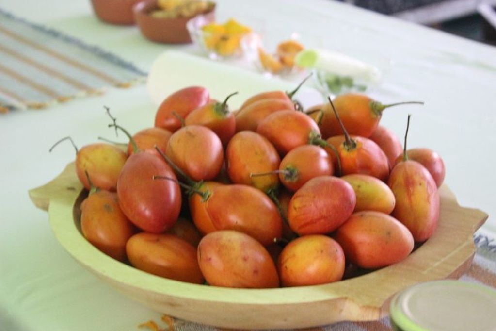 El Ministerio de Salud promueve la incorporación de productos naturales jujeños en la alimentación diaria. para prevenir enfermedades crónicas como la obesidad, diabetes e hipertensión. En la foto,  tomate chilto producido en la zona de las Yungas de Jujuy.