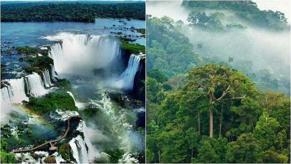 Dos cartas fuertes hicieron que Misiones ocupara un lugar preponderante en la FIT. Las Cataratas del Iguazú y la Selva Misionera, maravillas del Mundo y de la Argentina. (WEB)