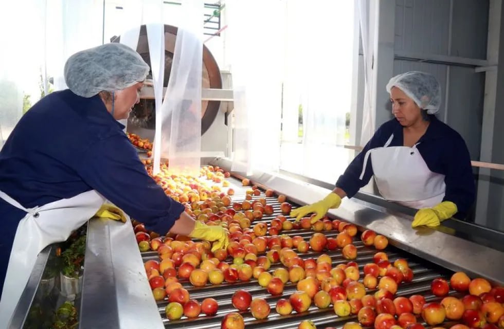 La pulpera de San Rafael aumentó la producción de pasta.