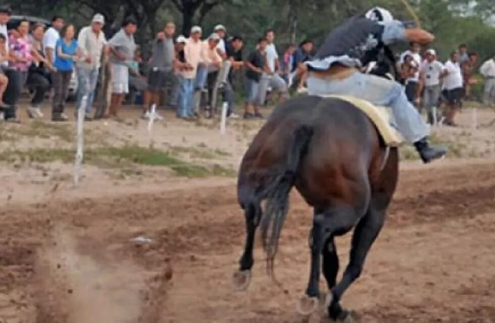 Un caballo se quebró dos patas en una carrera cuadrera en Santiago del Estero y luego fue sacrificado
