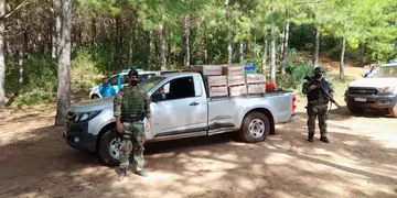 Prefectura decomisó cajas de verduras y frutas ilegales en Puerto Rico