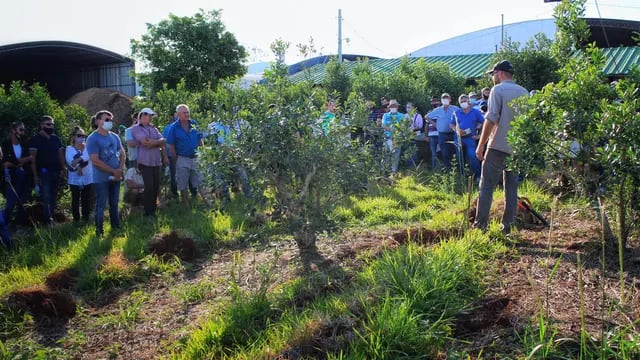 Campo Viera y Campo Grande: capacitaciones a productores de yerba