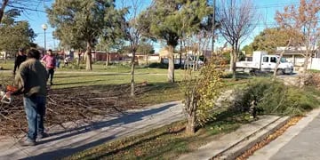 poda de árboles en  Plaza Francia y Plaza  Barrio Villa Italia