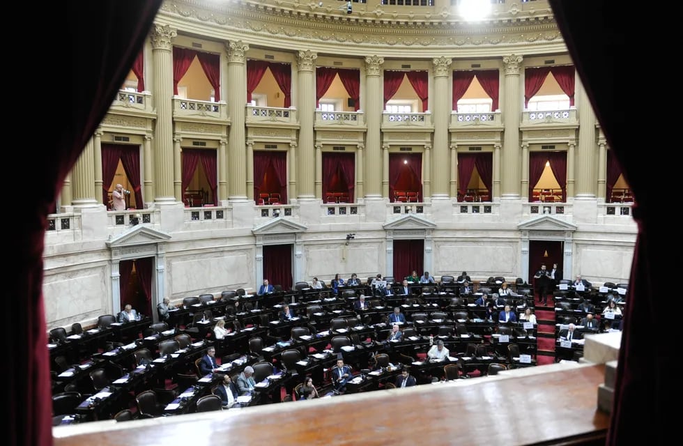 El 10 de diciembre se renueva la mitad de la Cámara de Diputados y un tercio del Senado (Foto: Federico López Claro)