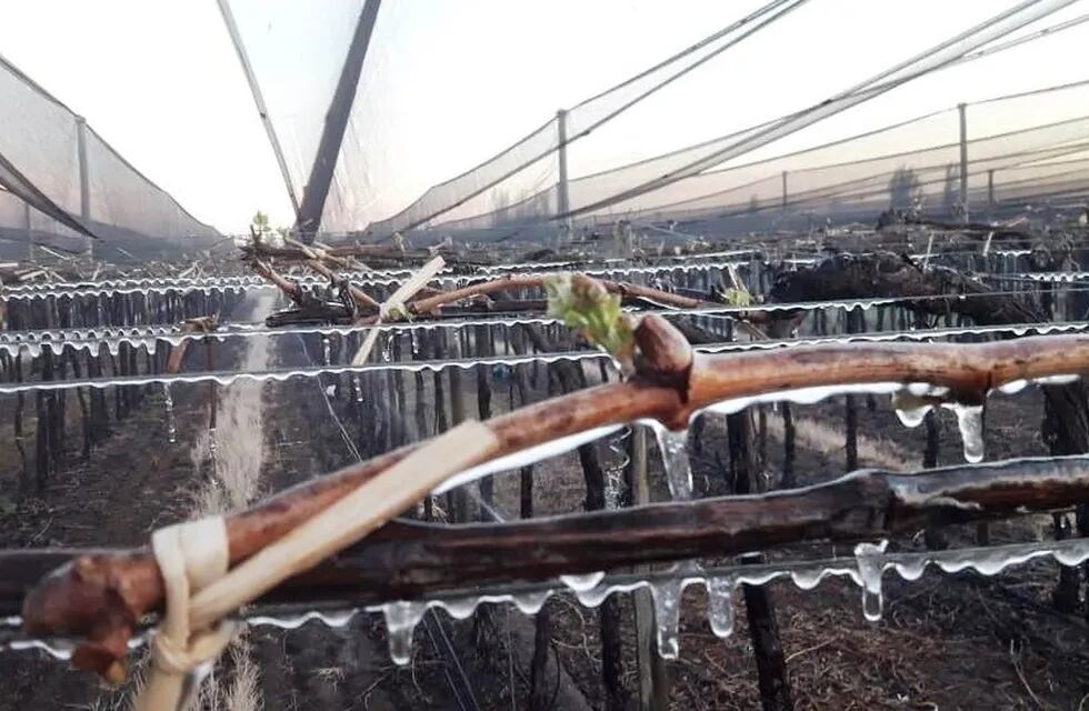 La Dirección de Contingencias Climáticas anticipó que el sábado ingresará un frente frio que provocará un marcado descenso en la temperatura durante la madrugada del domingo. Gobierno de Mendoza