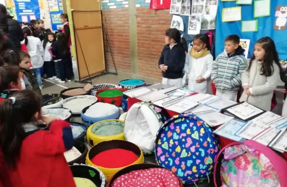 Alumnos de primer grado de la escuela Salteña Rene Favaloro fabricaron cuchas para el Centro de Adopciones Municipal. (Web)
