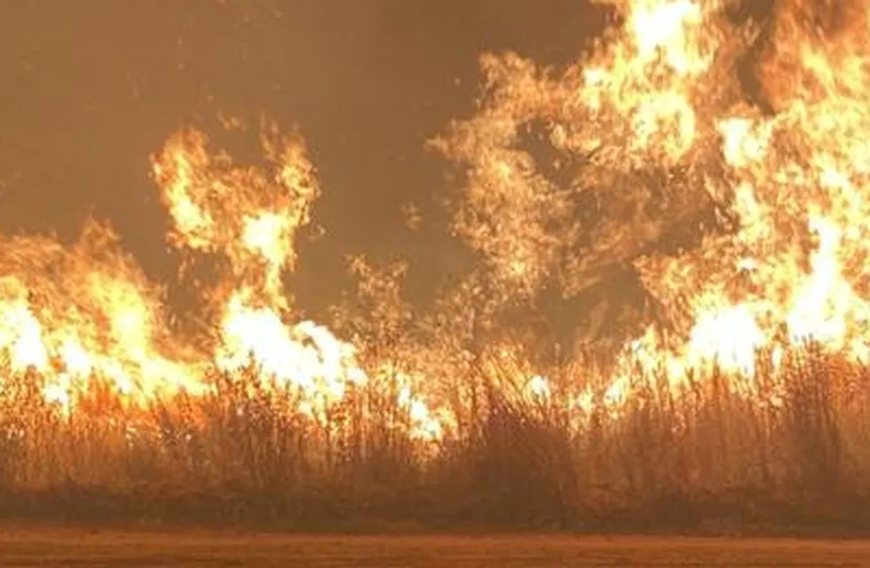 Se grabó quemando bosques en Corrientes con un lanzallamas.