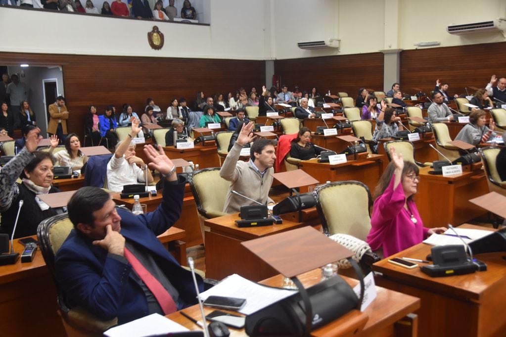 La Legislatura de Jujuy aprobó por unanimidad la adhesión al Régimen de protección integral del niño, niña y adolescente con cáncer.