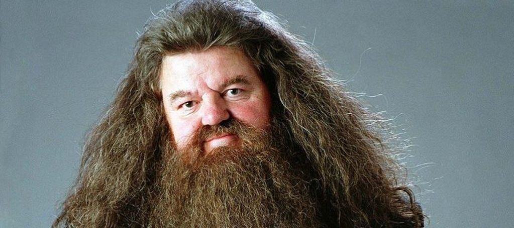 Hagrid, amigo de Harry Potter