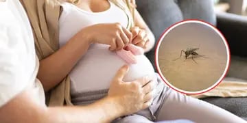Embarazada y con dengue: ¿existe algún riesgo para el bebé?