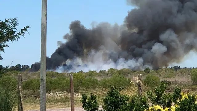 Incendio cerca del Aeropuerto de Rosario