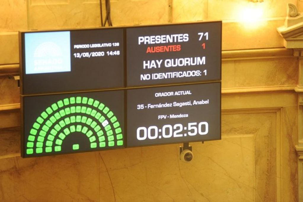 El Senado sesiona de forma virtual por primera vez en la historia. (Federico López Claro)