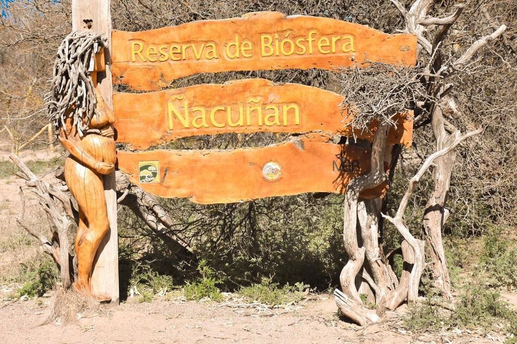 Reserva de biósfera Ñacuñan.
