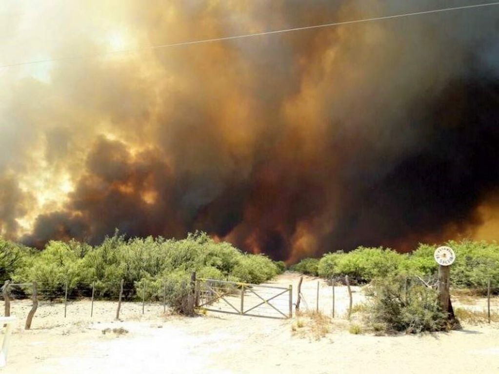 Incendio forestal en General Alvear