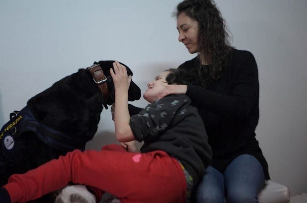 Lola y Zoe, las perritas de la División Canes de la Policía que ayudan en su terapia a chicos con discapacidad. (Prensa Gobierno)