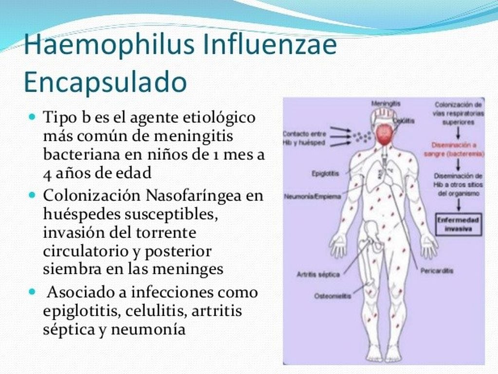 Cuadro de diagnóstico de la enfermedad.