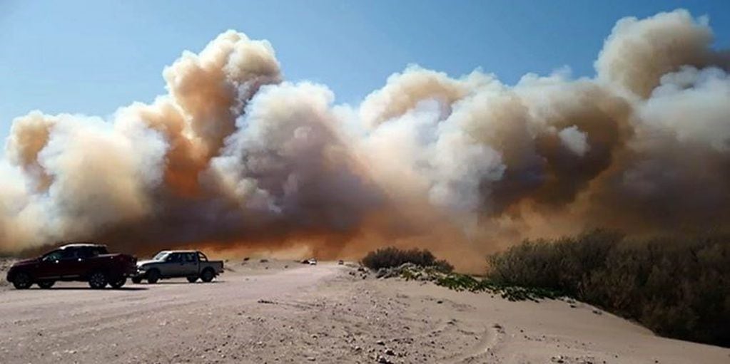 Incendio en el Vivero de Claromecó Fotos: Ilusion de pescar /Emi