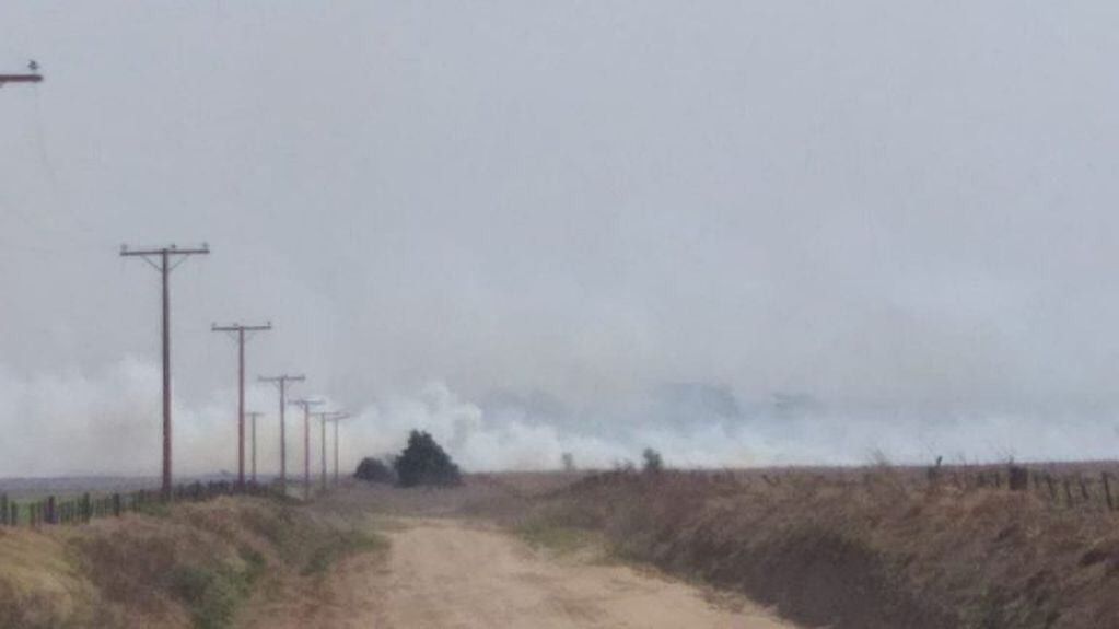 Los incendios en San Ambrosio provocaron que se quemaran las ovejas en un campo. (LV16 Radio Río Cuarto)