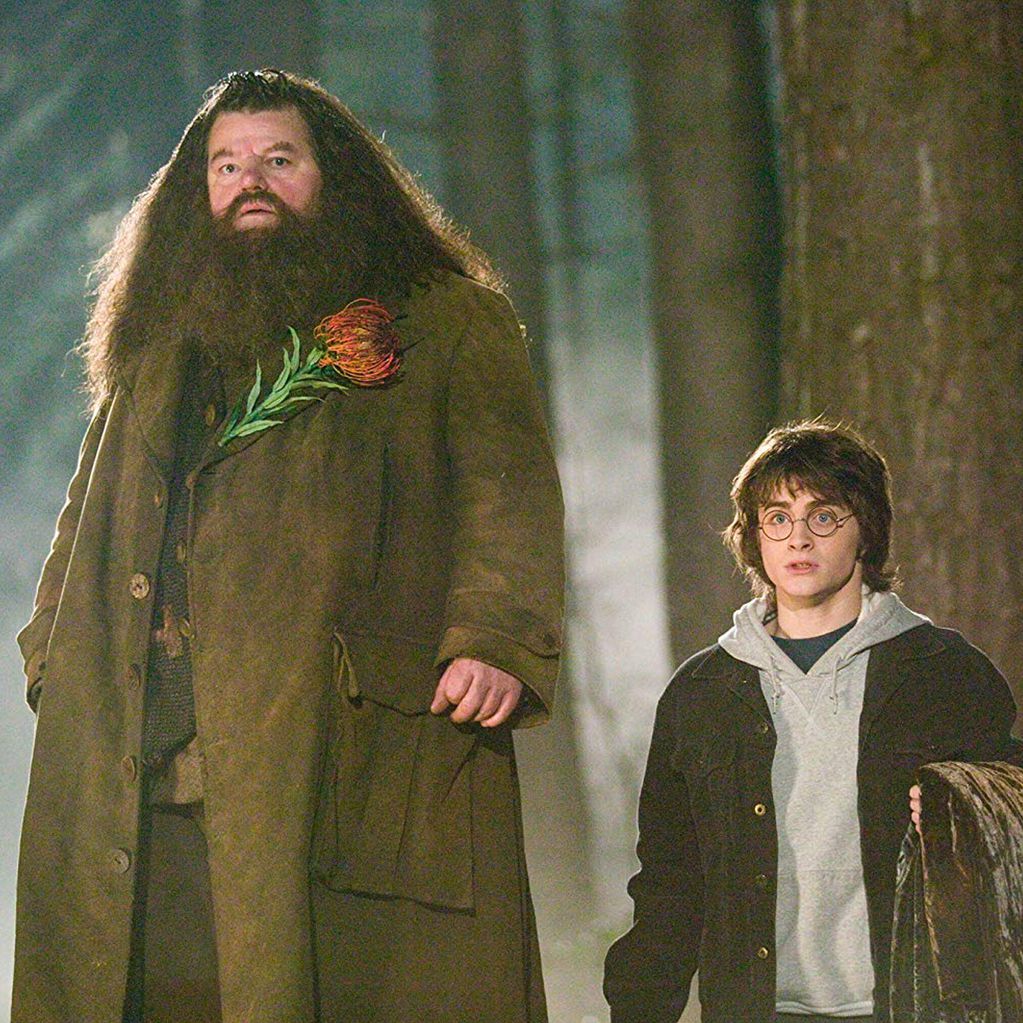 Hagrid, el adulto que más cuidó a Harry Potter