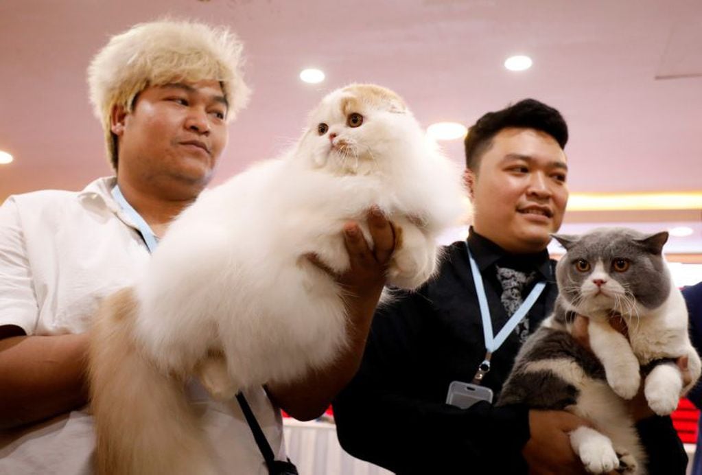 Nguyen Xuan Son of Vietnam and Tawin Prai of Thailand show their cats during the Vietnam's first cat show in Hanoi, Vietnam February 16, 2020. REUTERS/Kham