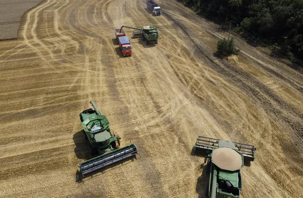 Agricultores cosechan con maquinaria un campo de trigo en Ucrania el 21 de julio de 2021.
 (AP /Archivo)